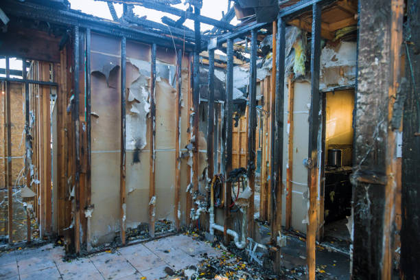 Professional Fire Damage Assessment technician working in Apollo Beach, FL