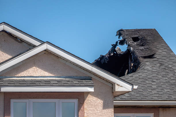 Top rated local Fire Damage Assessment specialists in Apollo Beach, FL